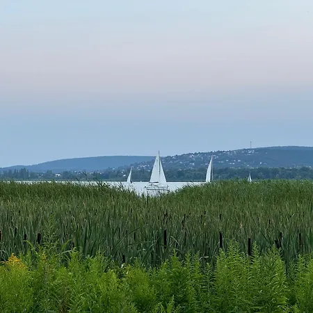 Apartament Willow Nest *