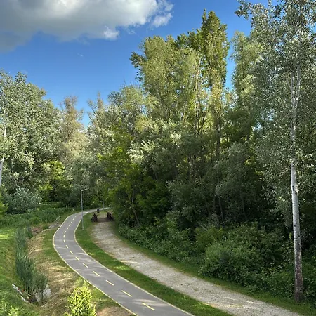 Willow Nest * Balatonfůzfő