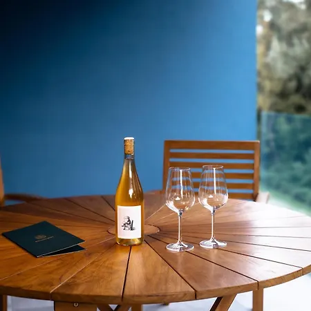 Apartament Willow Nest