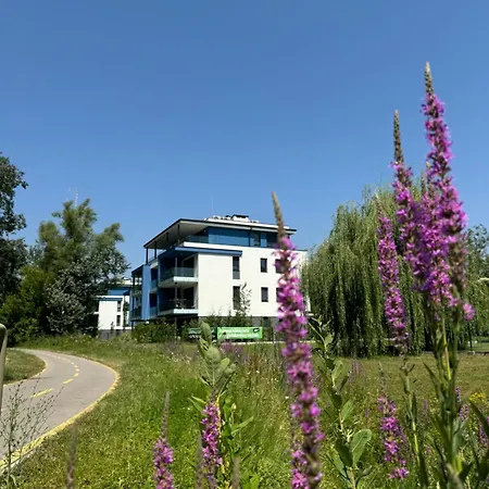 Willow Nest 公寓 *