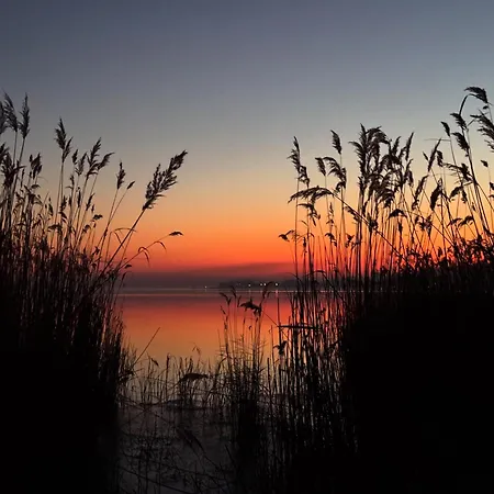 公寓 Willow Nest *