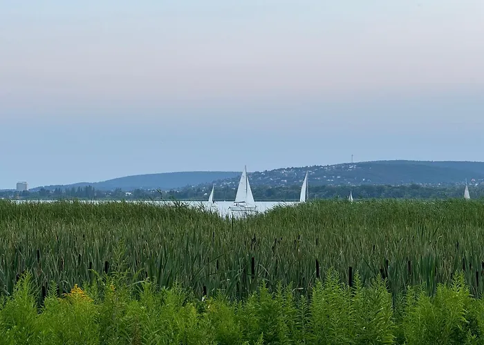 Apartment Willow Nest *