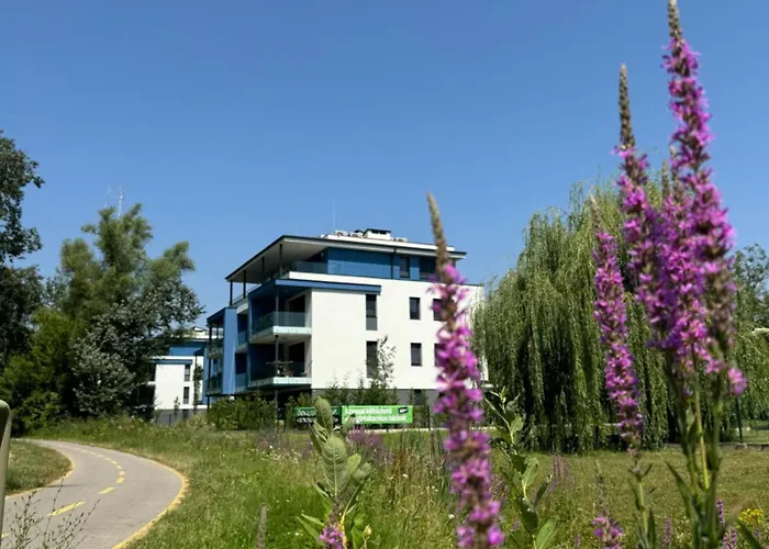 Willow Nest Apartment *