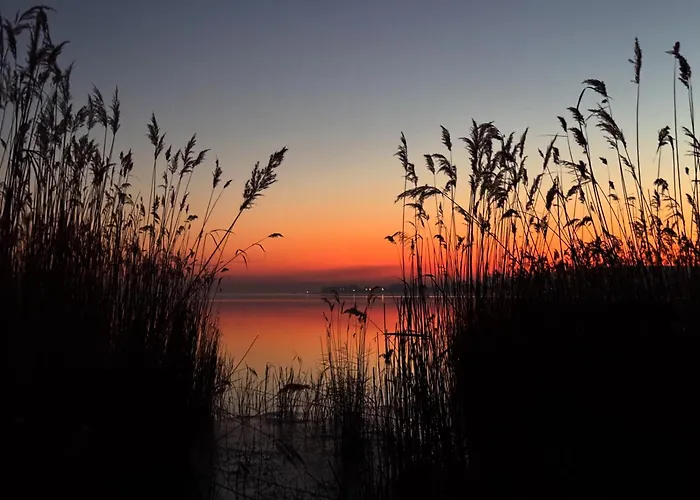 Apartment Willow Nest *